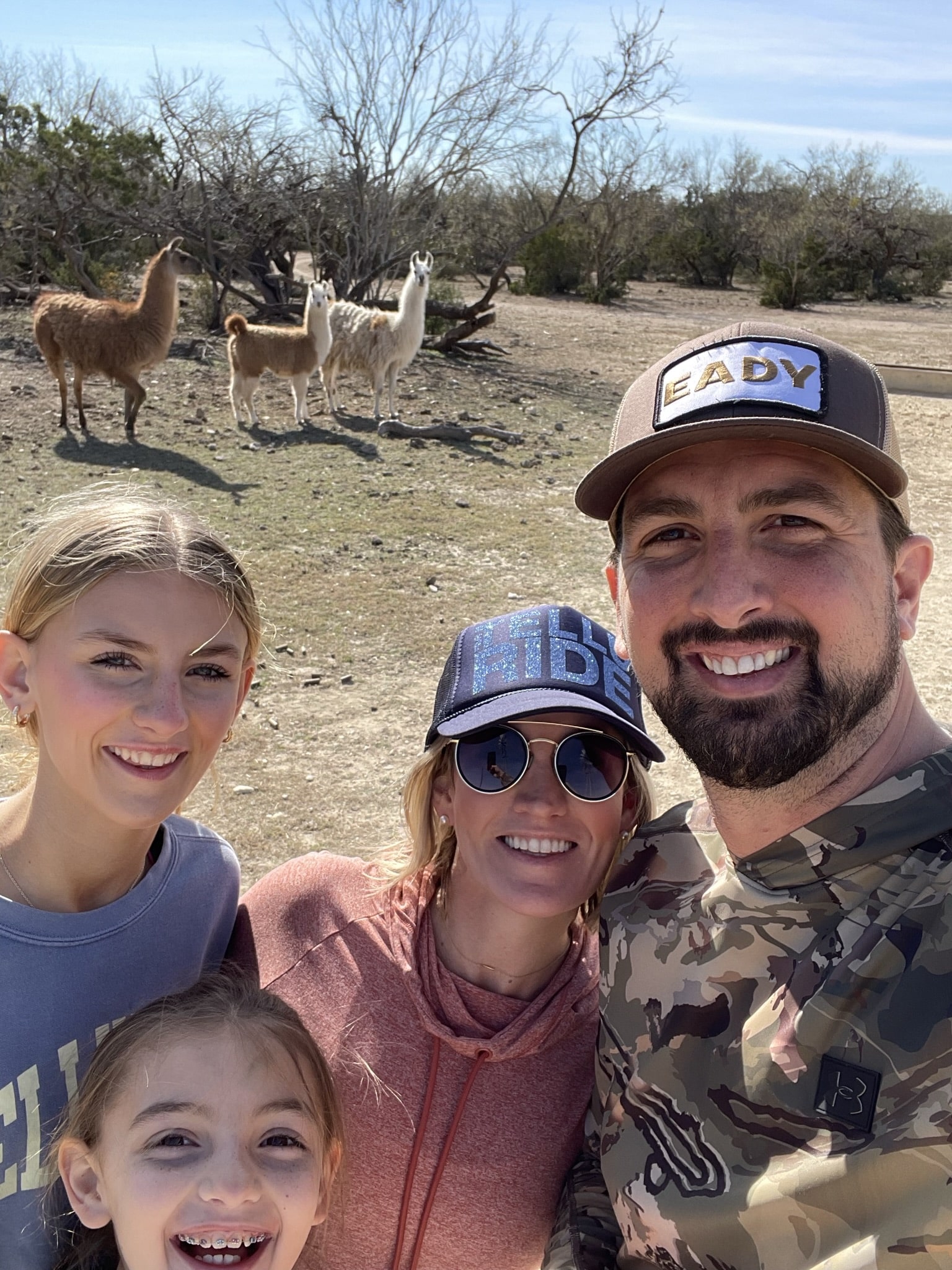 Schulz Ranch Llamas